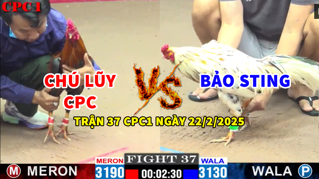 trận 37 cpc1 ngày 22/2/2025 hôm nay bảo sting vs chú lũy cpc