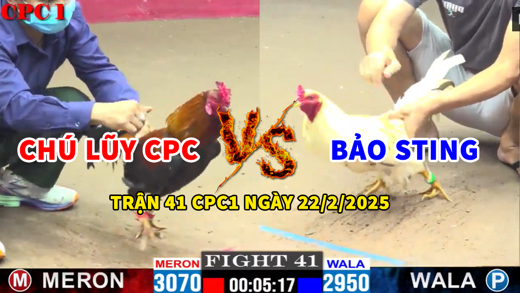 trận 41 cpc1 ngày 22/2/2025 hôm nay chú lũy cpc vs bảo sting