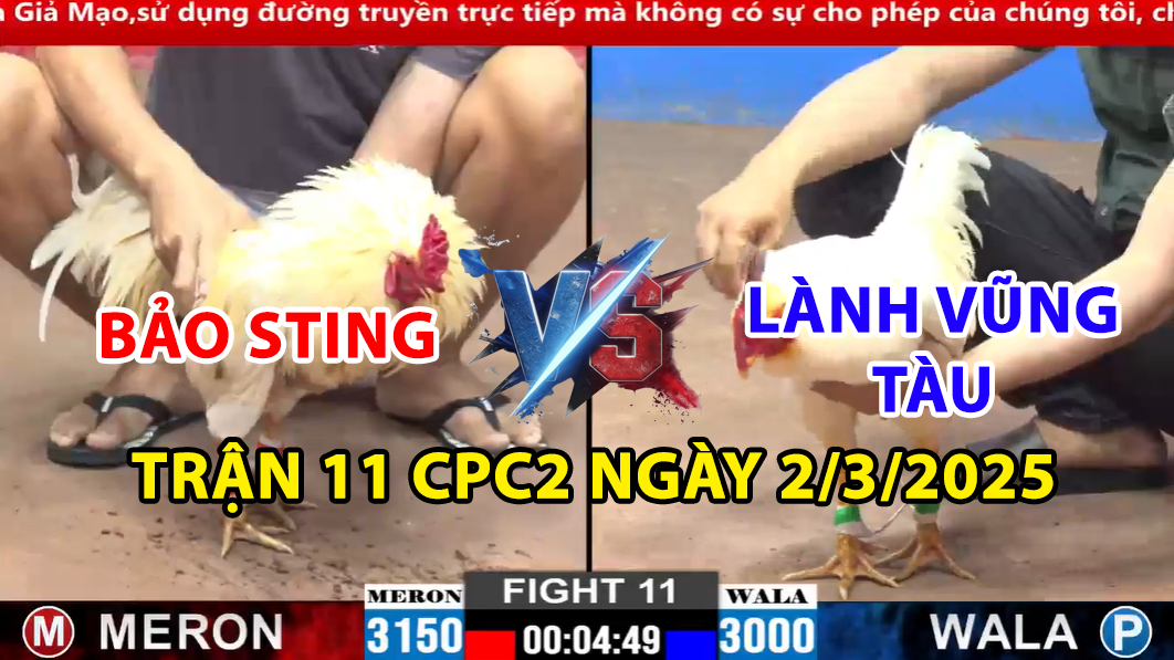 trận 11 cpc2 ngày 2/3/2025 hôm nay giữa lành vũng tàu và bảo sting