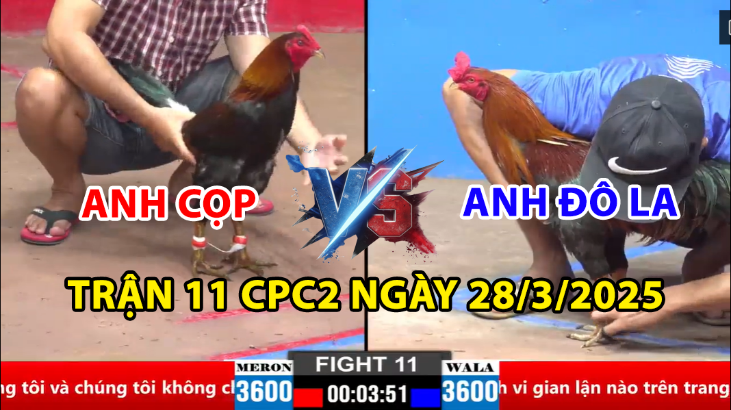 trận 11 cpc2 ngày 28/3/2025 hôm nay giữa anh cọp và anh đô la