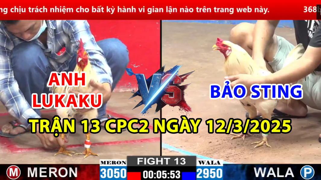 trận 13 cpc2 ngày 12/3/2025 hôm nay giữa bảo sting và anh lukaku
