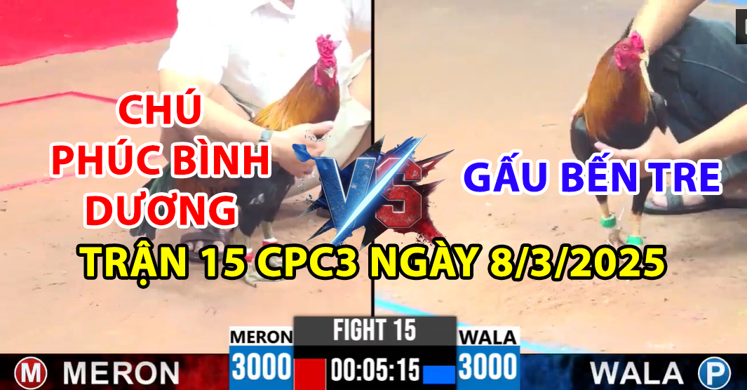 trận 15 cpc3 ngày 8/3/2025 hôm nay giữa phúc bình dương và gấu bến tre