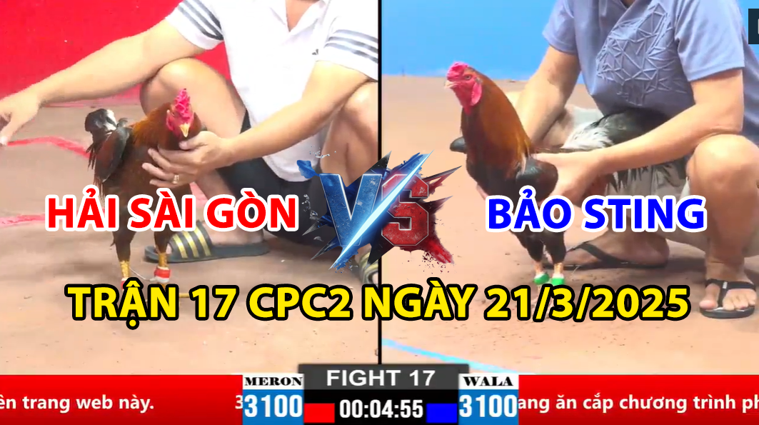 trận 17 cpc2 ngày 21/3/2025 hôm nay giữa bảo sting vs hải sài gòn