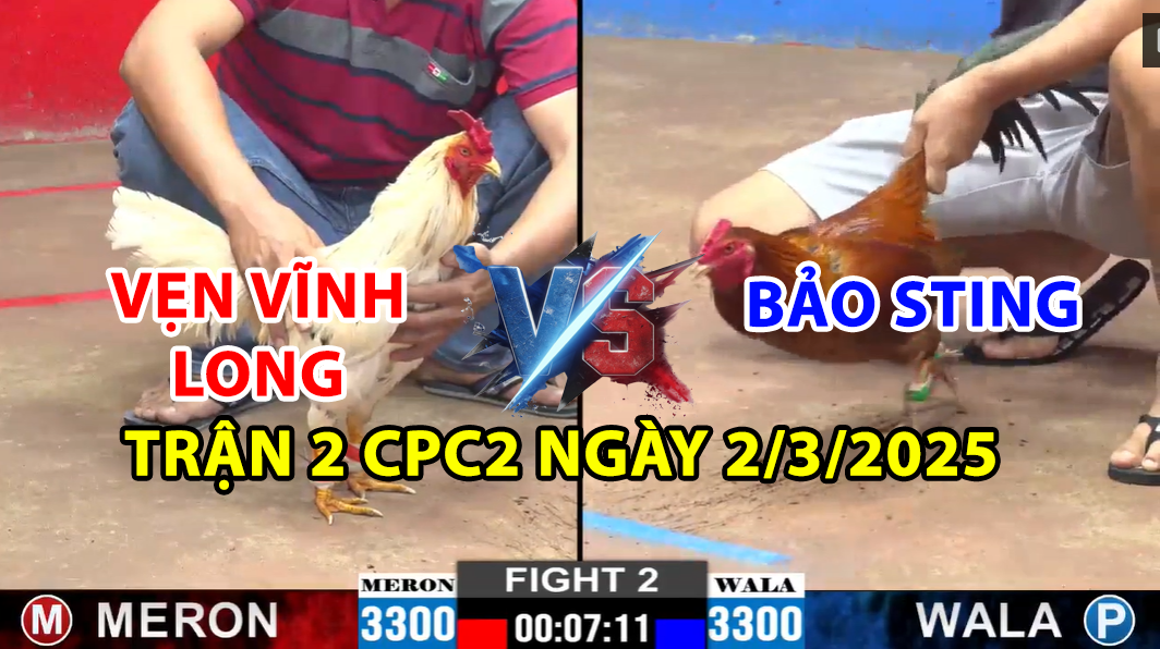 trận 2 cpc2 ngày 2/3/2025 hôm nay giữa vẹn vĩnh long vs bảo sting