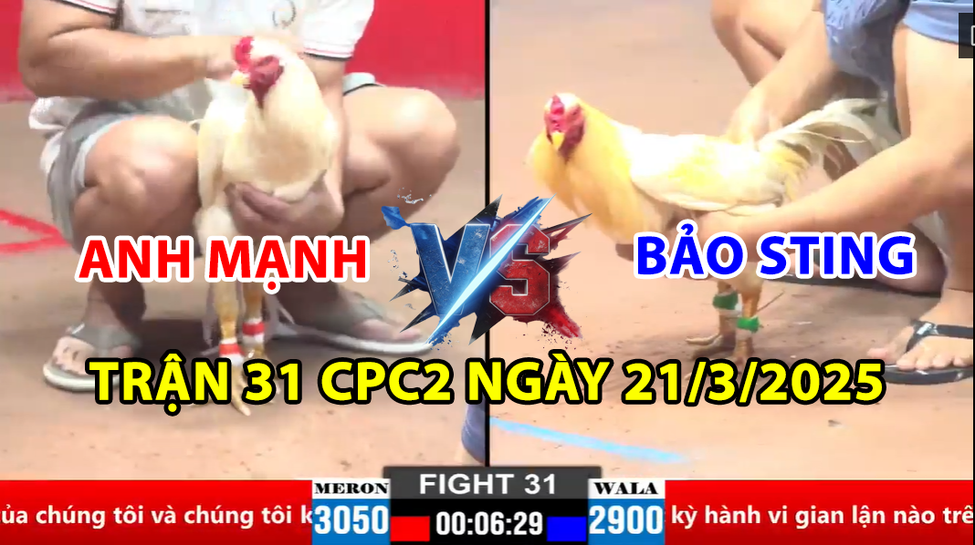 trận 31 cpc2 ngày 21/3/2025 hôm nay giữa bảo sting và anh mạnh