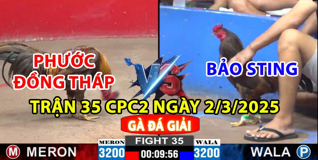 trận 35 cpc2 ngày 2/3/2025 hôm nay phước đồng tháp và bảo sting