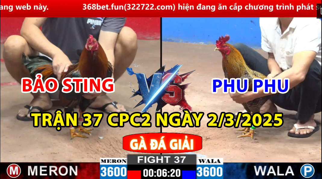 trận 37 cpc2 ngày 2/3/2025 hôm nay bảo sting vs phu phu