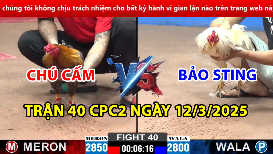 trận 40 cpc2 ngày 12/3/2025 hôm nay giữa bảo sting vs chú cấm