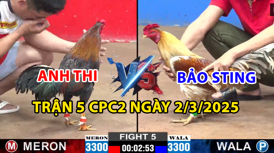 trận 5 cpc2 ngày 2/3/2025 hôm nay giữa anh thi vs bảo sting