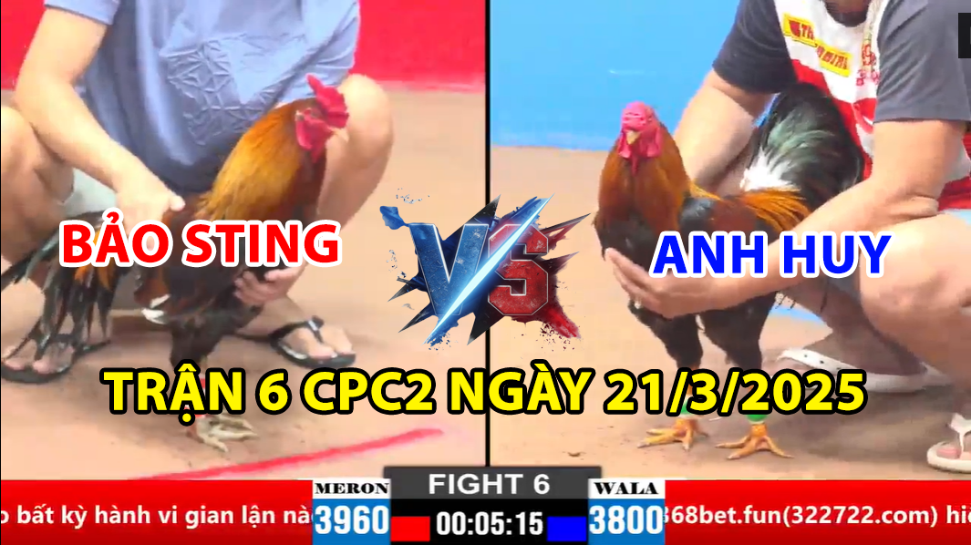 trận 6 cpc2 ngày 21/3/2025 hôm nay bảo sting và anh huy