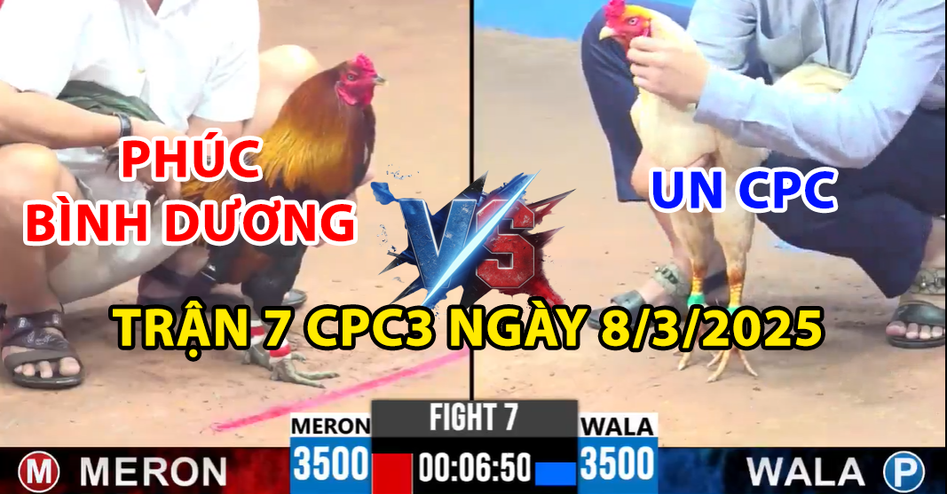 trận 7 cpc3 ngày 8/3/2025 hôm nay phúc bình dương và un cpc