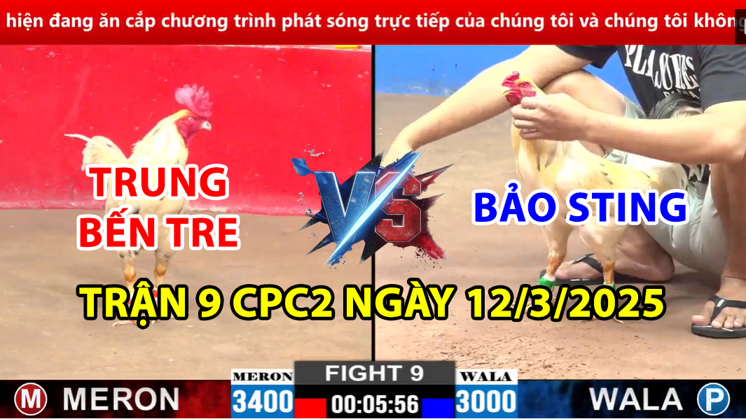 trận 9 cpc2 ngày 12/3/2025 hôm nay giữa bảo sting vs trung bến tre