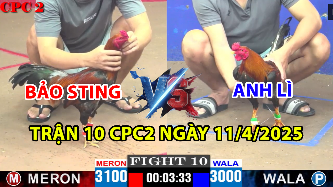 trận 10 cpc2 ngày 11/4/2025 hôm nay giữa bảo sting vs anh lì