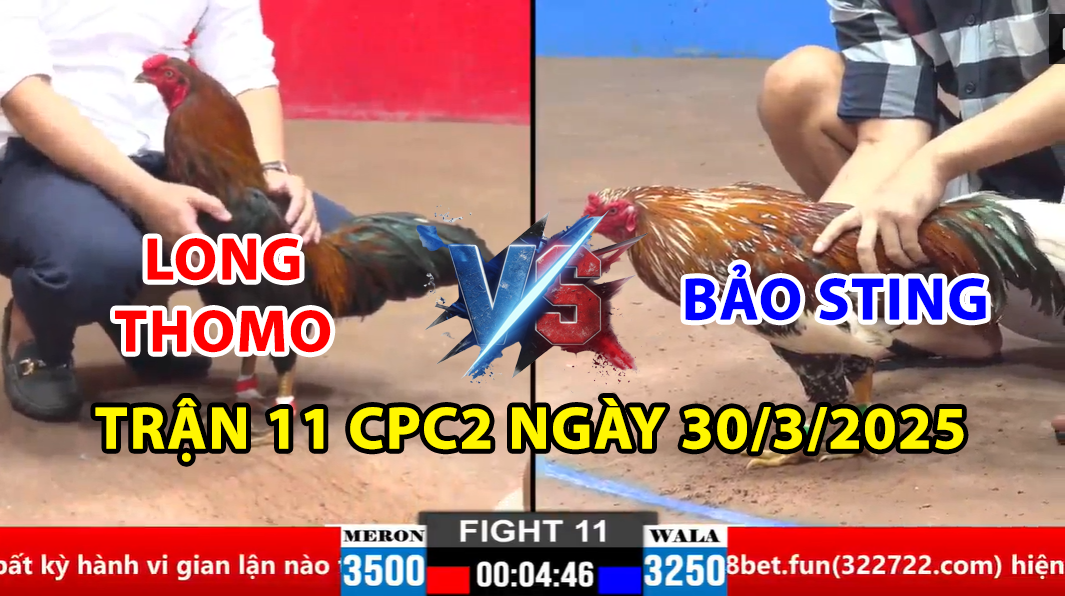 trận 11 cpc2 ngày 30/3/2025 hôm nay giữa bảo sting vs long thomo
