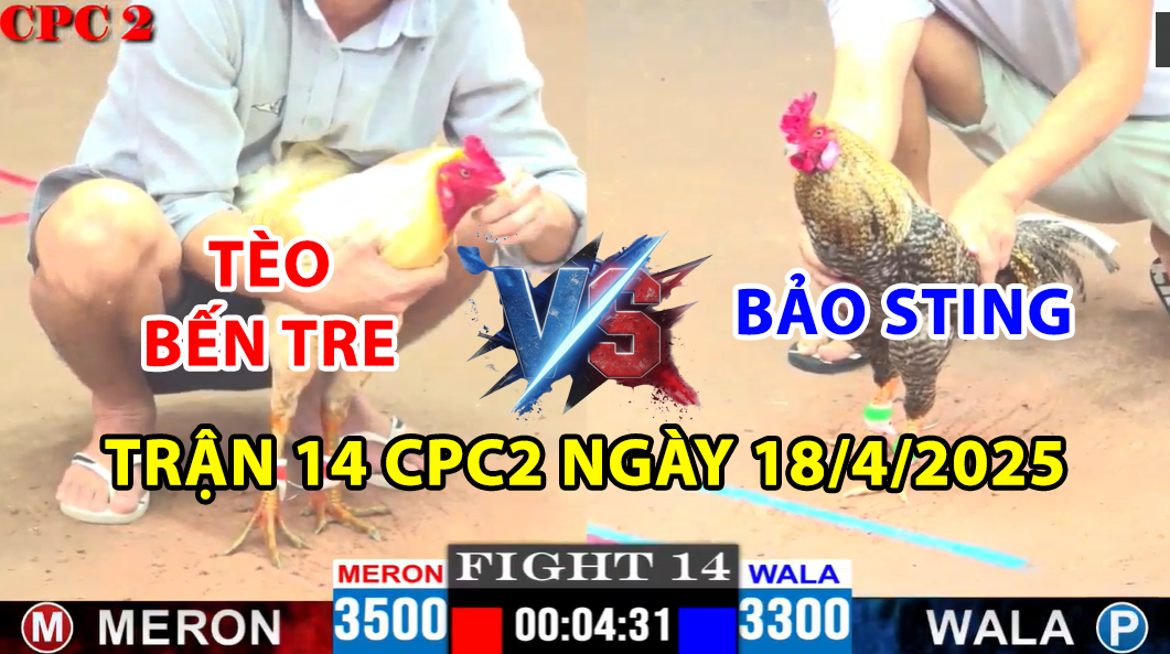 trận 14 cpc2 ngày 18/4/2025 hôm nay giữa bảo sting tèo bến tre