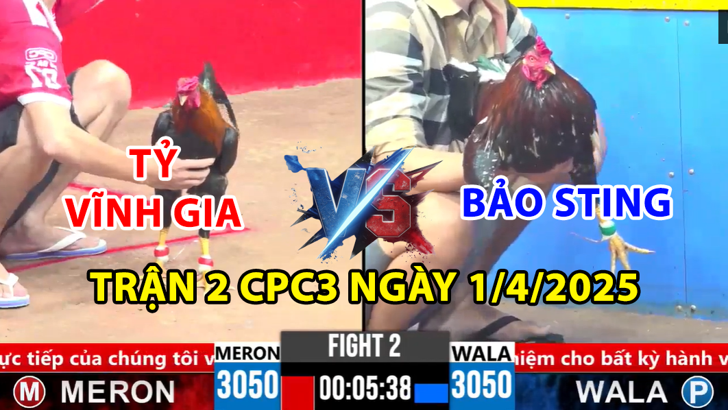 trận 2 cpc3 ngày 1/4/2025 hôm nay giữa tỷ vĩnh gia vs bảo sting