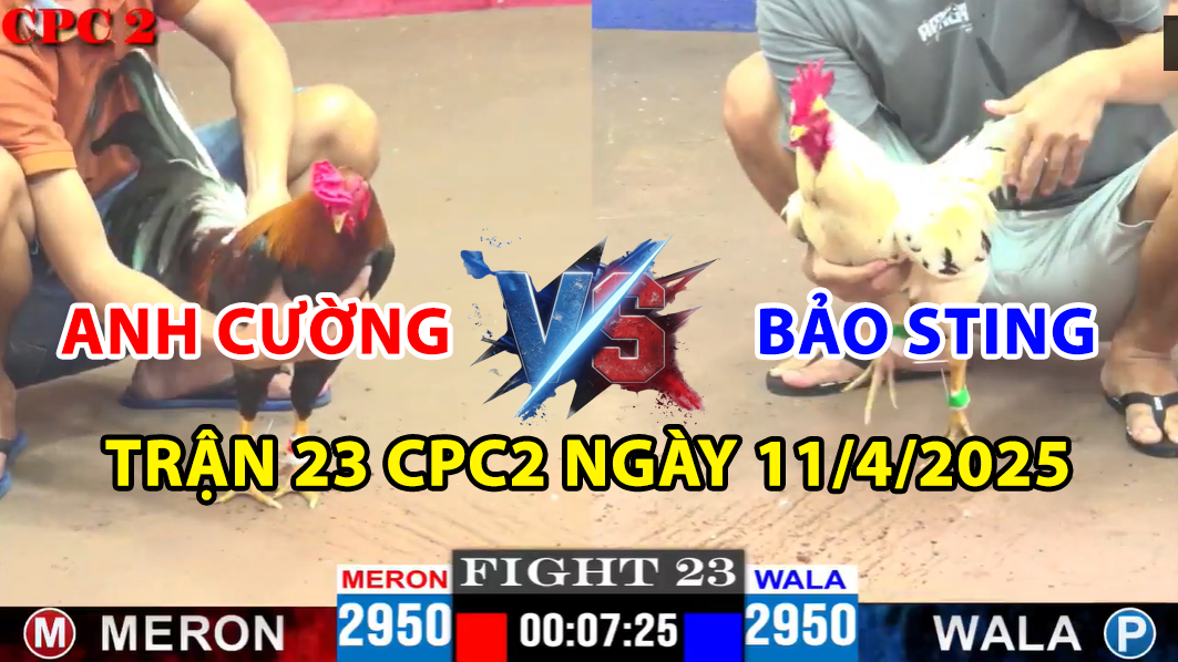 trận 23 cpc2 ngày 11/4/2025 hôm nay giữa bảo sting vs anh cường