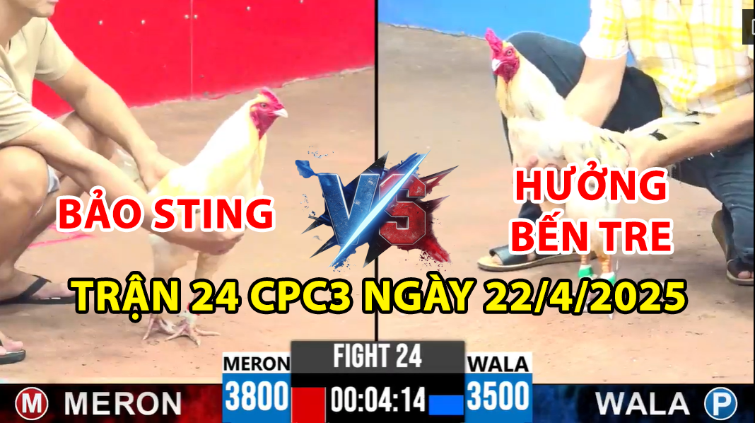 trận 24 cpc3 ngày 22/4/2025 hôm nay giữa bảo sting vs hưởng bến tre
