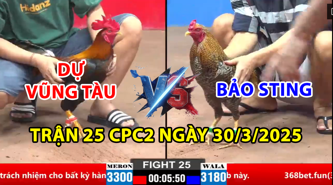 trận 25 cpc2 ngày 30/3/2025 hôm nay giữa bảo sting vs dự vũng tàu