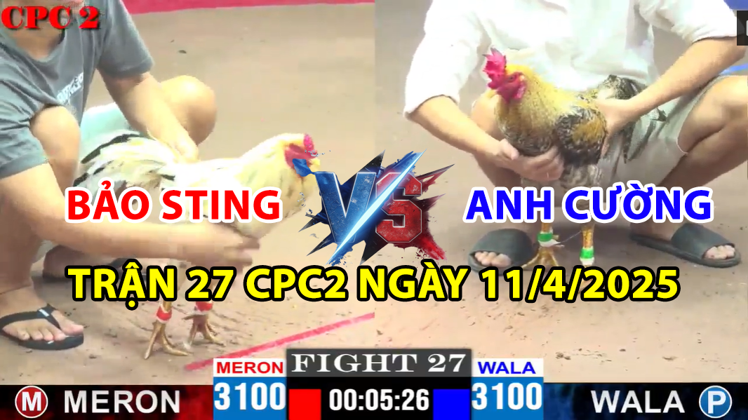 trận 27 cpc2 ngày 11/4/2025 hôm nay giữa bảo sting vs anh cường