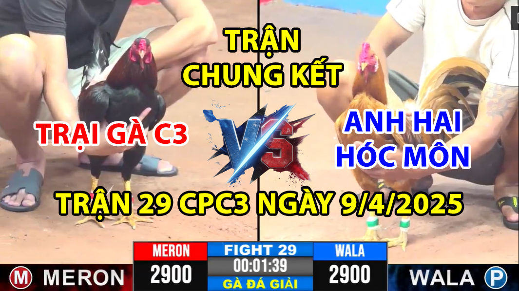 trận 29 cpc3 ngày 9/4/2025 hôm nay giữa trại gà c3 và hai hóc môn