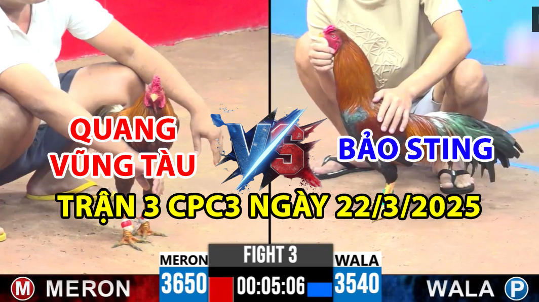 trận 3 cpc3 ngày 22/4/2025 hôm nay giữa bảo sting và quang vũng tàu