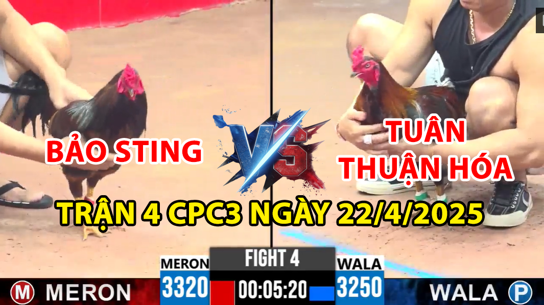 trận 4 cpc3 ngày 22/4/2025 hôm nay giữa bảo sting vs tuân thuận hóa