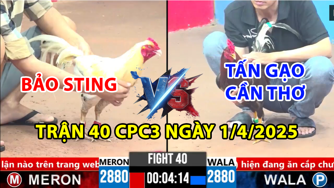 trận 40 cpc3 ngày 1/4/2025 hôm nay giữa bảo sting vs tấn gạo cần thơ