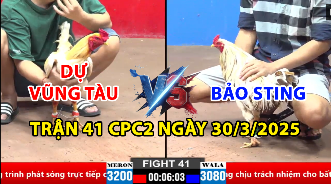 trận 41 cpc2 ngày 30/3/2025 hôm nay giữa bảo sting dự vũng tàu