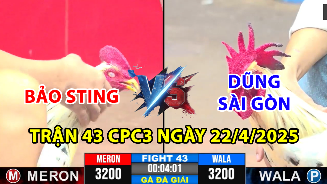 trận 43 cpc3 ngày 22/4/2025 hôm nay giữa bảo sting vs dũng sài gòn