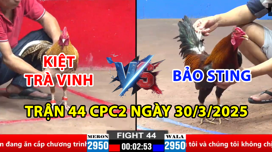 trận 44 cpc2 ngày 30/3/2025 hôm nay giữa bảo sting vs kiệt trà vinh