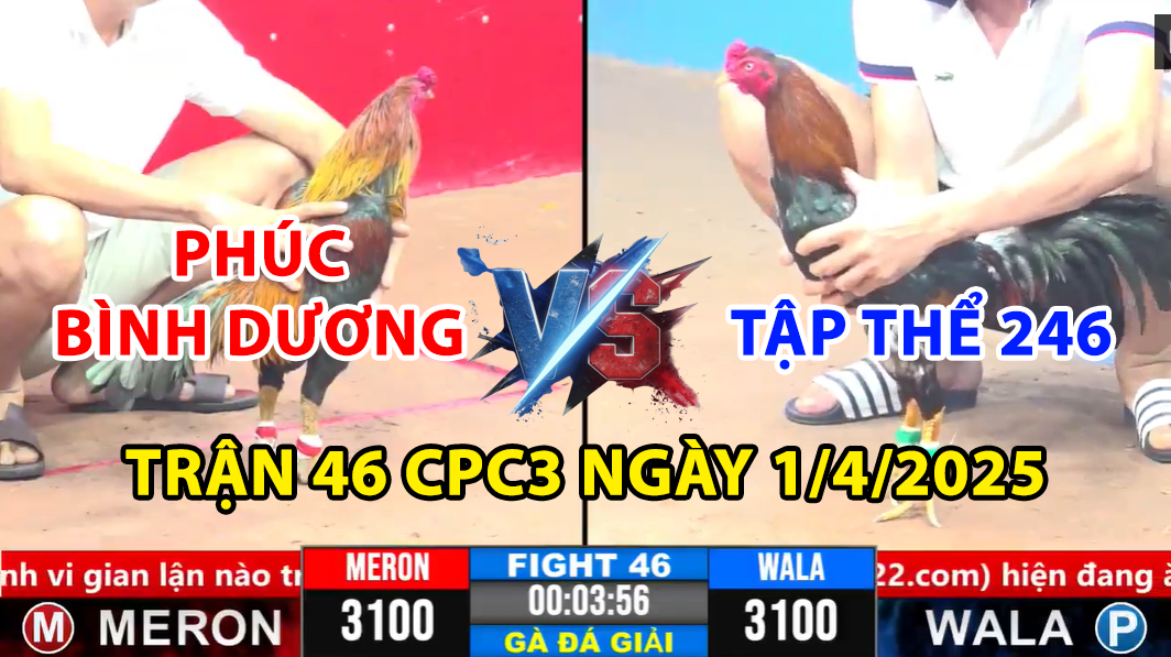 trận 46 cpc3 ngày 1/4/2025 hôm nay giữa phúc bình dương vs tập thể 246