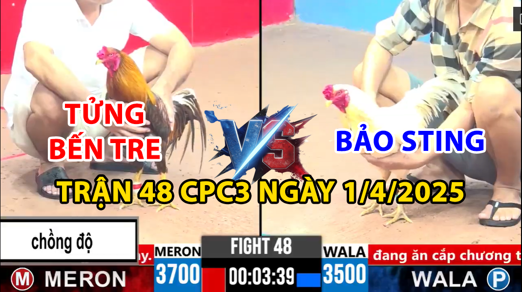 trận 48 cpc3 ngày 1/4/2025 hôm nay giữa bảo sting vs tửng bến tre