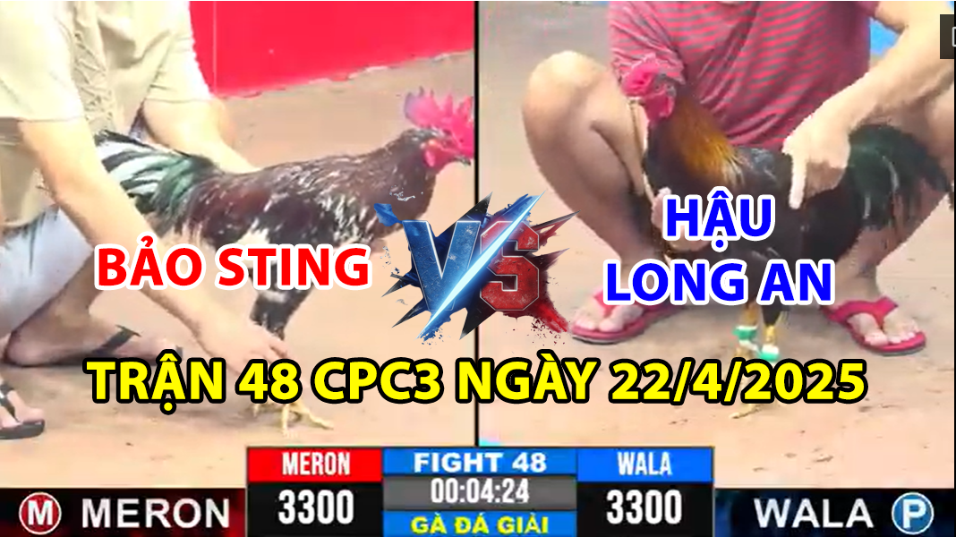 trận 48 cpc3 ngày 22/4/2025 hôm nay giữa bảo sting vs hậu long an