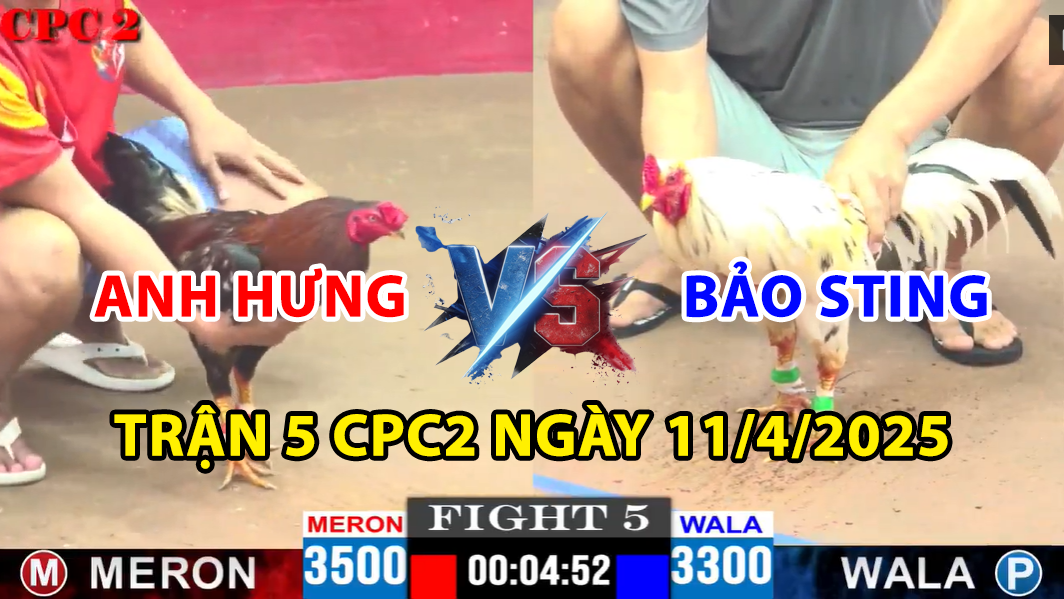 trận 5 cpc2 ngày 11/4/2025 hôm nay giữa bảo sting vs anh hưng