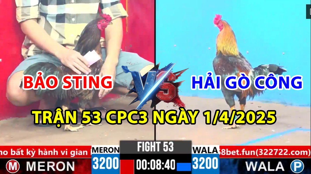trận 53 cpc3 ngày 1/4/2025 hôm nay giữa bảo sting vs hải gò công