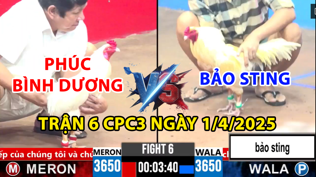 trận 6 cpc3 ngày 1/4/2025 hôm nay giữa bảo sting vs phúc bình dương