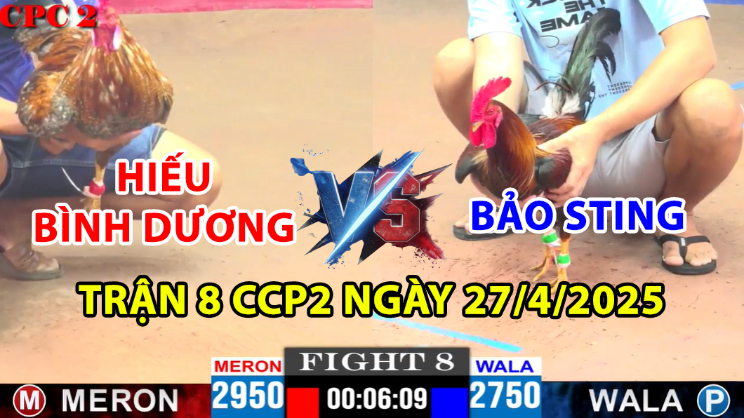 trận 8 cpc2 ngày 27/4/2025 hôm nay giữa bảo sting vs hiếu bình dương