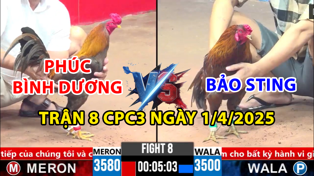 trận 8 cpc3 ngày 1/4/2025 hôm nay giữa bảo sting vs phúc bình dương