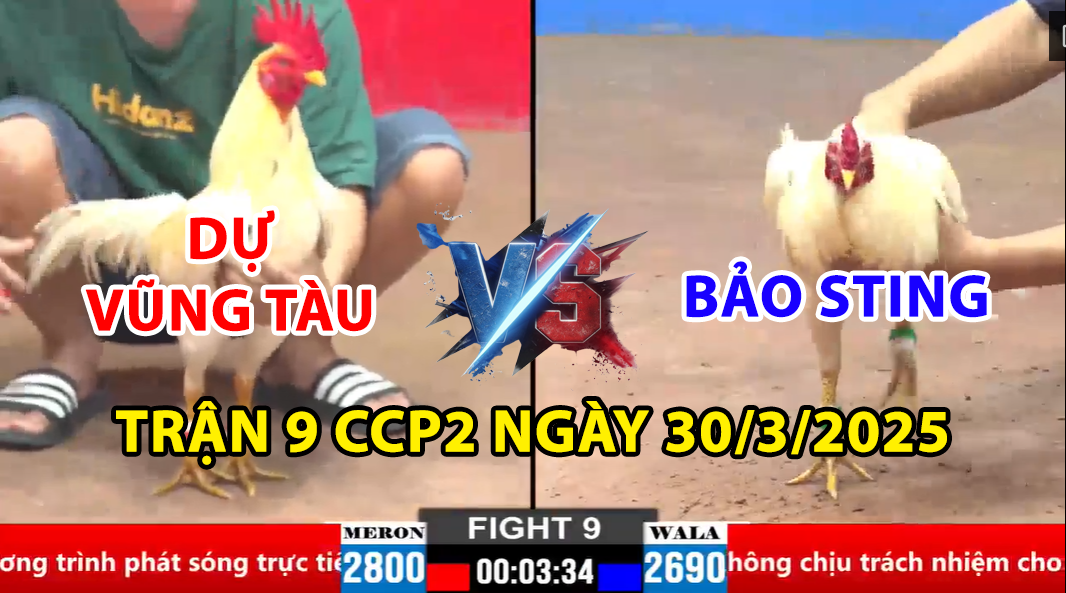 trận 9 cpc2 ngày 30/3/3035 hôm nay giữa bảo sting vs dự vũng tàu