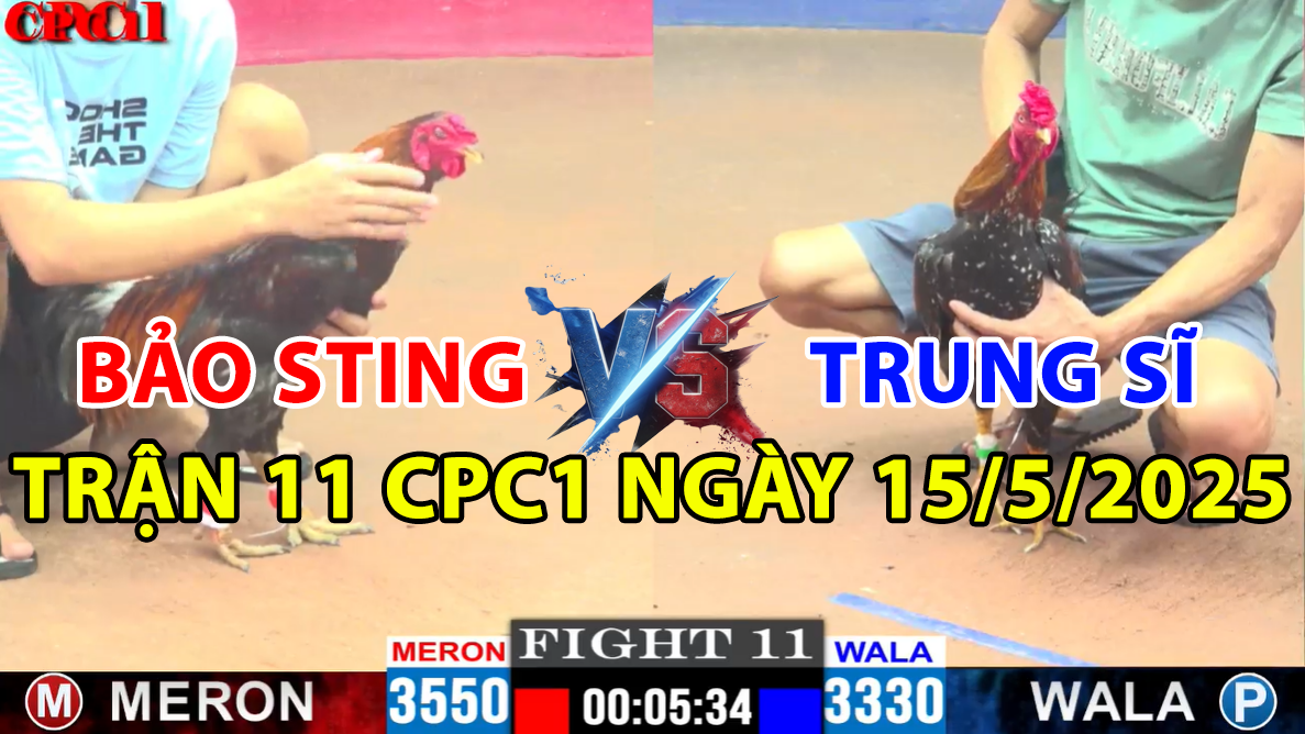 trận 11 cpc1 ngày 15/5/2025 hôm nay giữa bảo sting vs anh trung sĩ