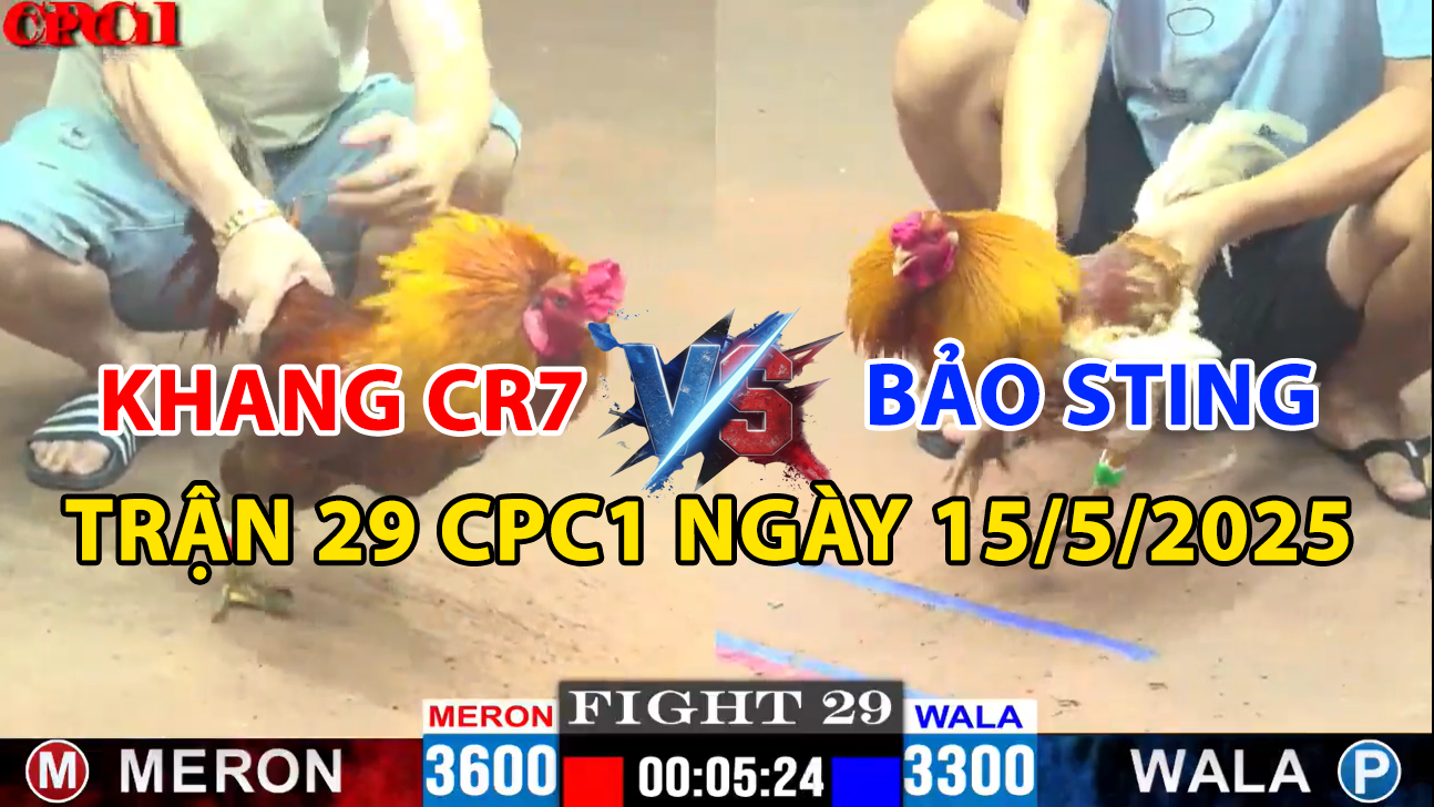 trận 29 cpc1 ngày 15/5/2025 hôm nay giữa bảo sting và khang cr7