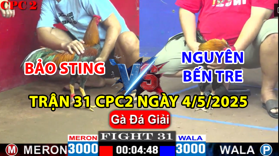 trận 31 cpc2 ngày 4/5/2025 hôm nay giữa bảo sting và nguyên bến tre