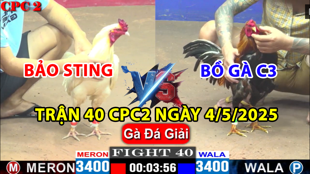 trận 40 cpc2 ngày 4/5/2025 hôm nay giữa bảo sting và bồ gà c3