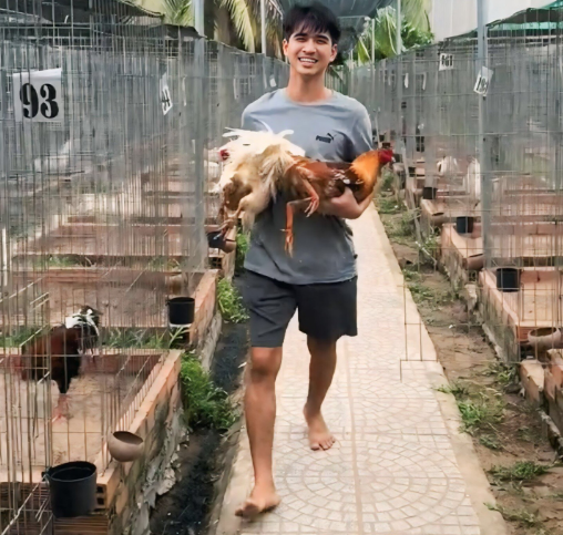 Đối Tác Chính Thức Của Bảo Sting: ÔNG VUA WALA 2 Lý Do Nên Chọn Đối Tác Chính Thức Của Bảo Sting