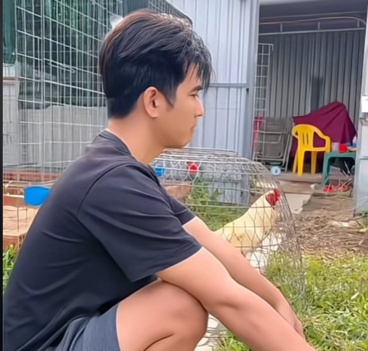 Đối Tác Chính Thức Của Bảo Sting: ÔNG VUA WALA 3 Làm Sao Để Trở Thành Đối Tác Chính Thức Của Bảo Sting?