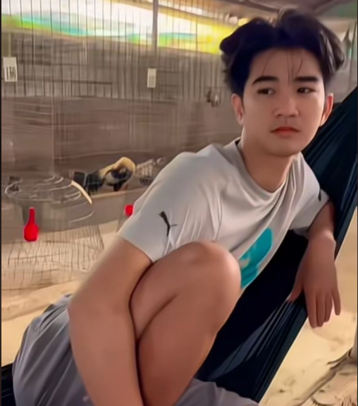 Đối Tác Chính Thức Của Bảo Sting: ÔNG VUA WALA 1 Bảo Sting Là Ai?