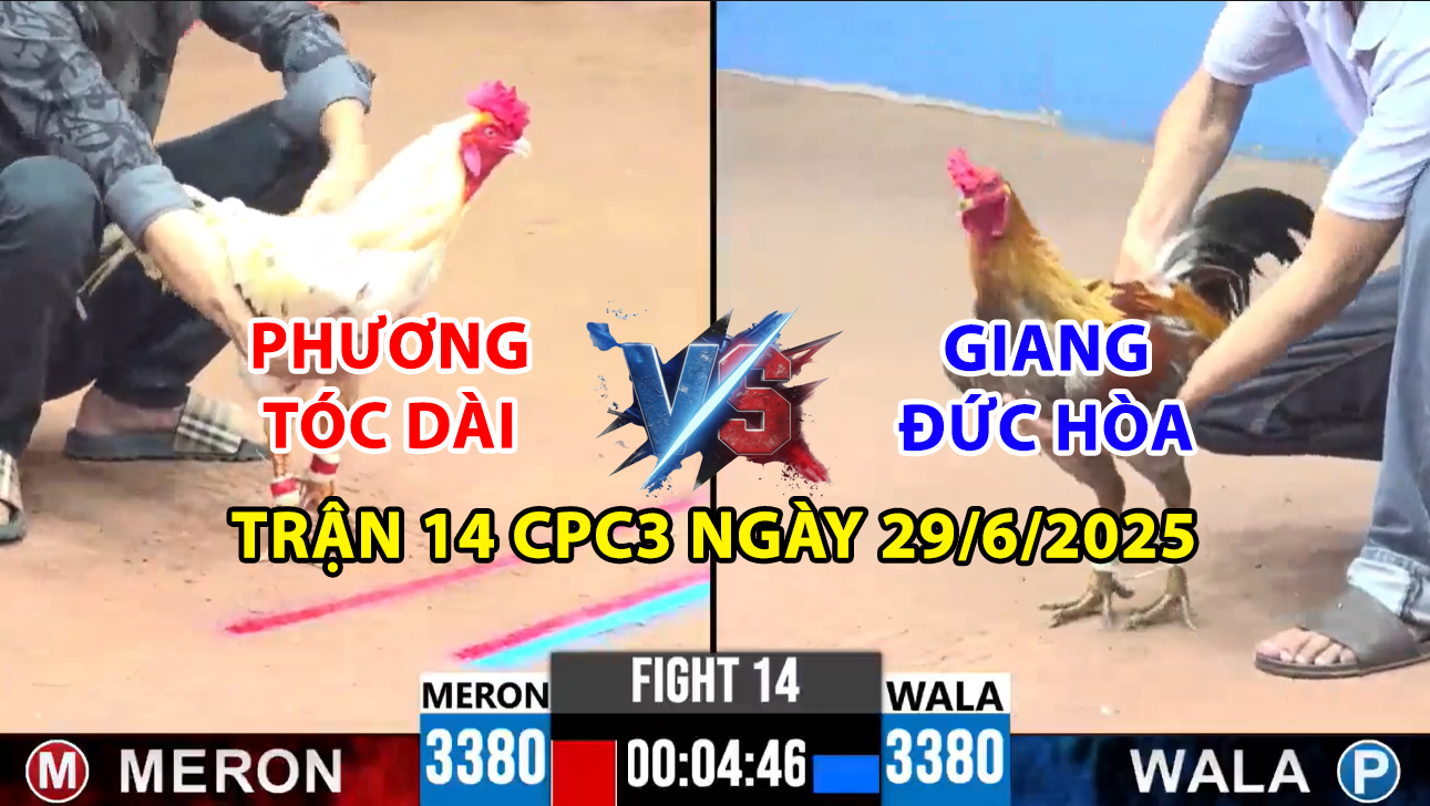 trận 14 cpc3 ngày 29/6/2025 hôm nay giữa phương tóc dài và giang đức hòa
