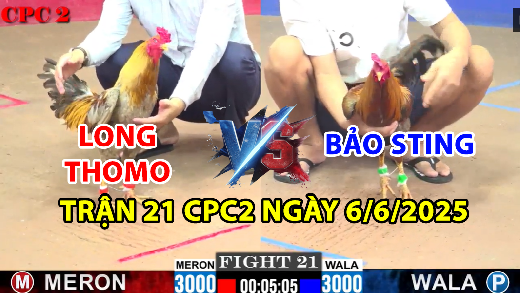 trận 21 cpc2 ngày 6/6/2025 hôm nay giữa bảo sting vs long thomo