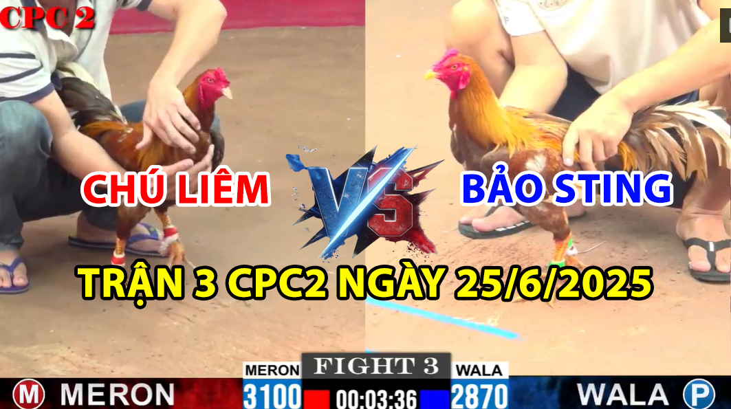 trận 3 cpc2 ngày 25/6/2025 hôm nay giữa chú liêm và bảo sting